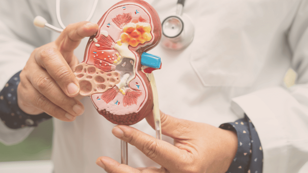 untitled desktop wallpaper 1